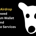 DOGS Airdrop Slowed Telegram Wallet and Exchange Services