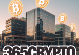 public companies hold bitcoin